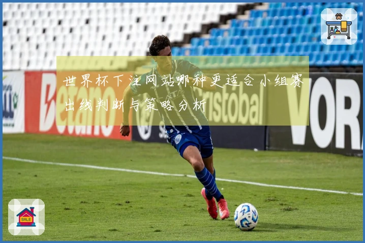 世界杯下注网站哪种更适合小组赛出线判断与策略分析