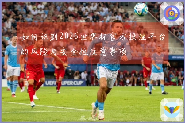 如何识别2026世界杯官方投注平台的风险与安全性注意事项