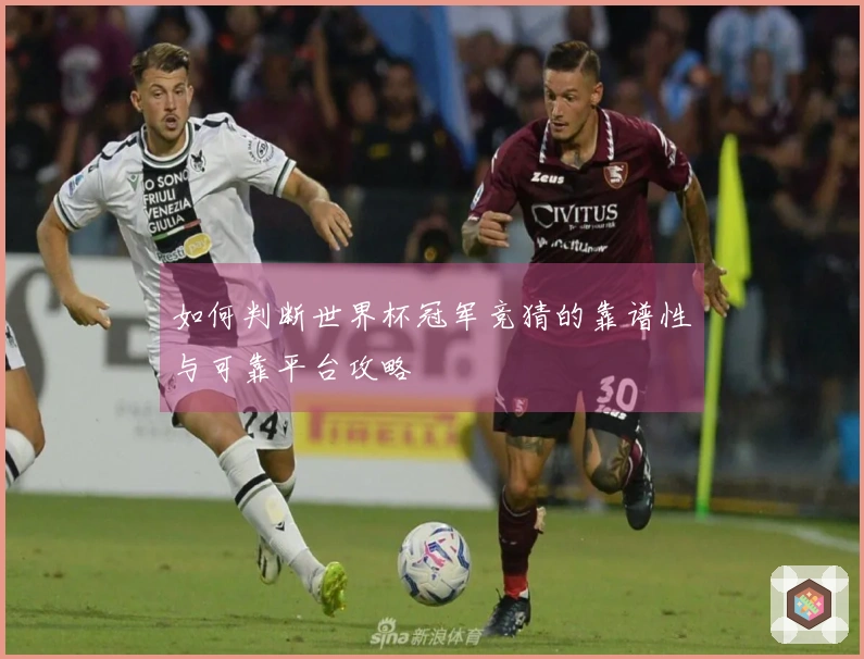如何判断世界杯冠军竞猜的靠谱性与可靠平台攻略